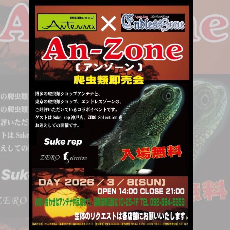 爬虫類ショップアンテナ 【井尻店】 tweet media