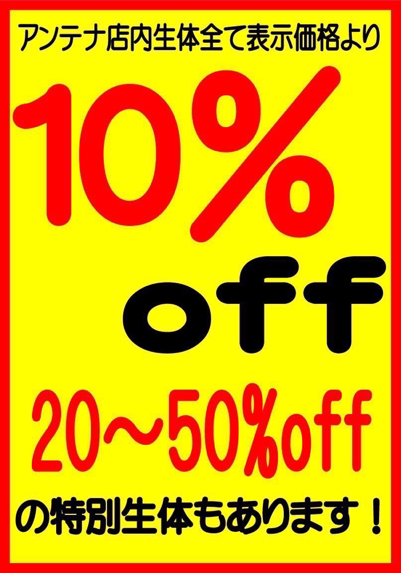 爬虫類ショップアンテナ 【井尻店】 tweet media