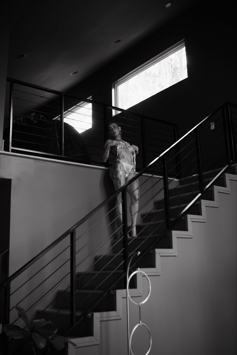 The Belgium Fox tweet media