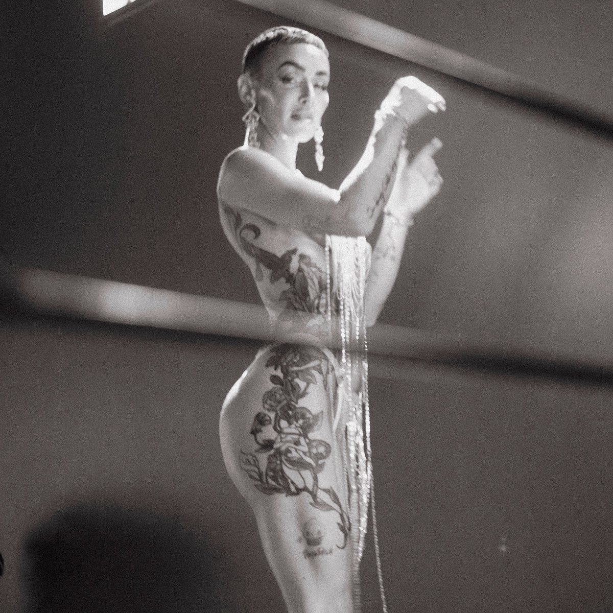 The Belgium Fox tweet media