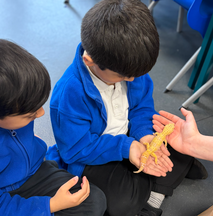 Riverley Primary tweet media