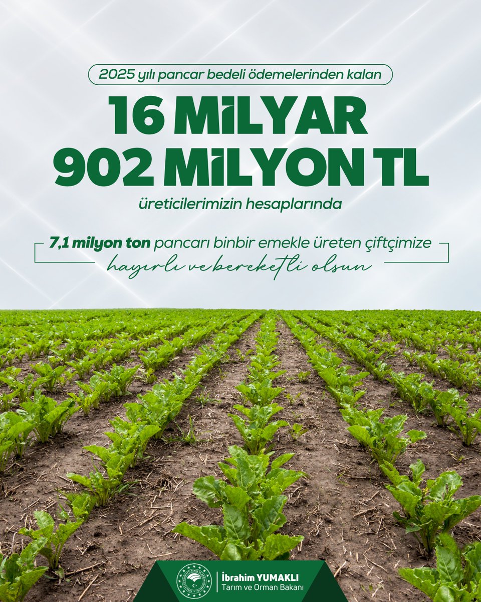 🌾 Üretenin yanında olmaya, toprağımızın bereketini çiftçimizle birlikte büyütmeye kararlılıkla devam ediyoruz.

👨‍🌾 2025 yılı pancar bedellerinden kalan 16 Milyar 902 Milyon TL'yi üreticilerimizin hesaplarına aktardık.

🚜 Planlı üretimin bereketiyle 7,1 milyon ton pancarı