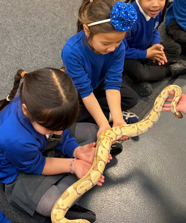 Riverley Primary tweet media