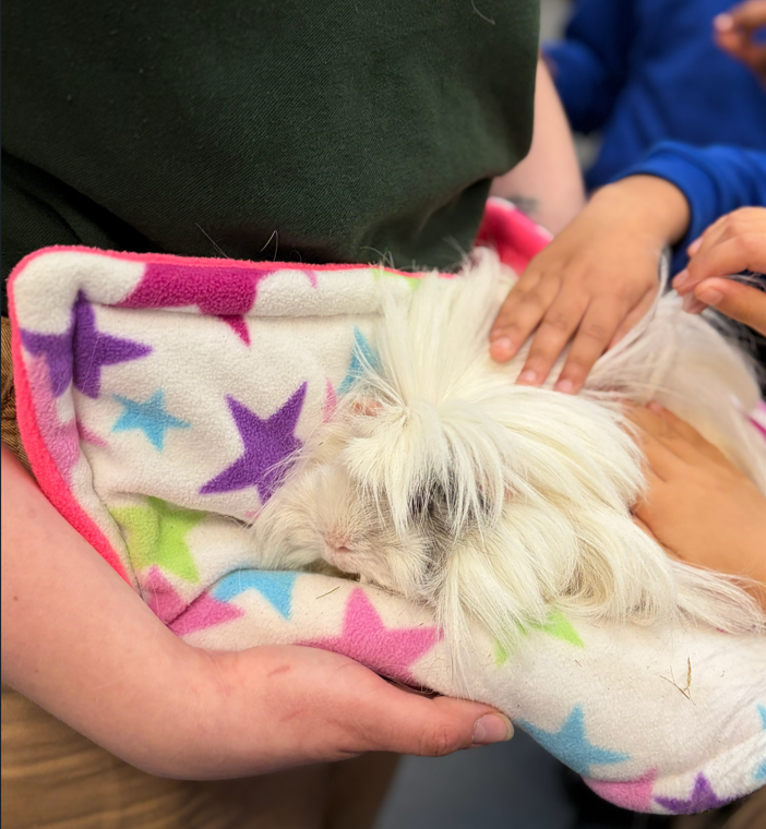 Riverley Primary tweet media