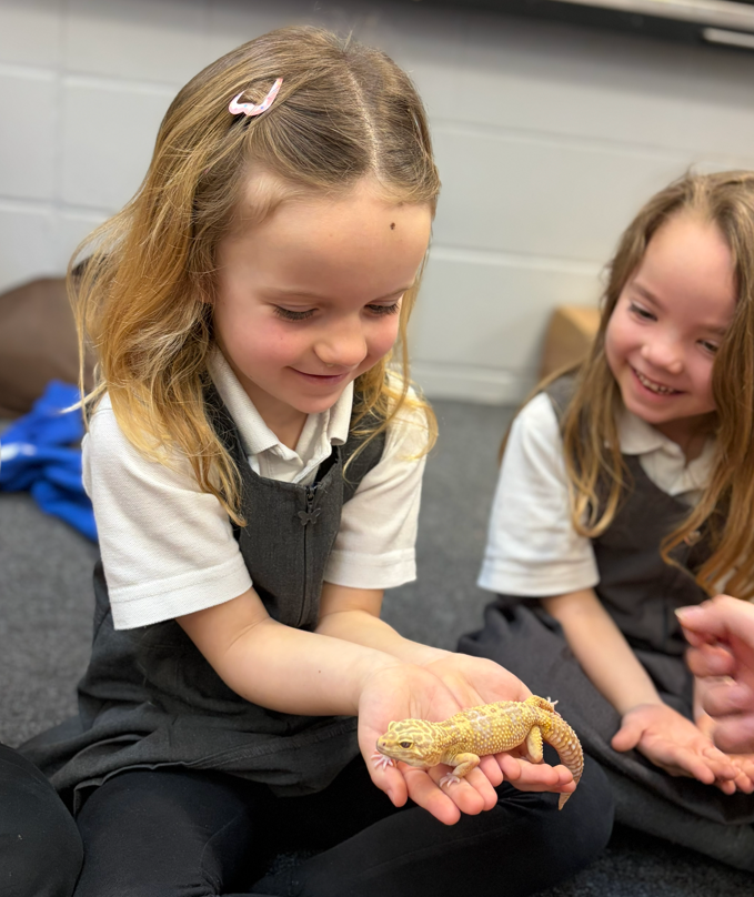 Riverley Primary tweet media