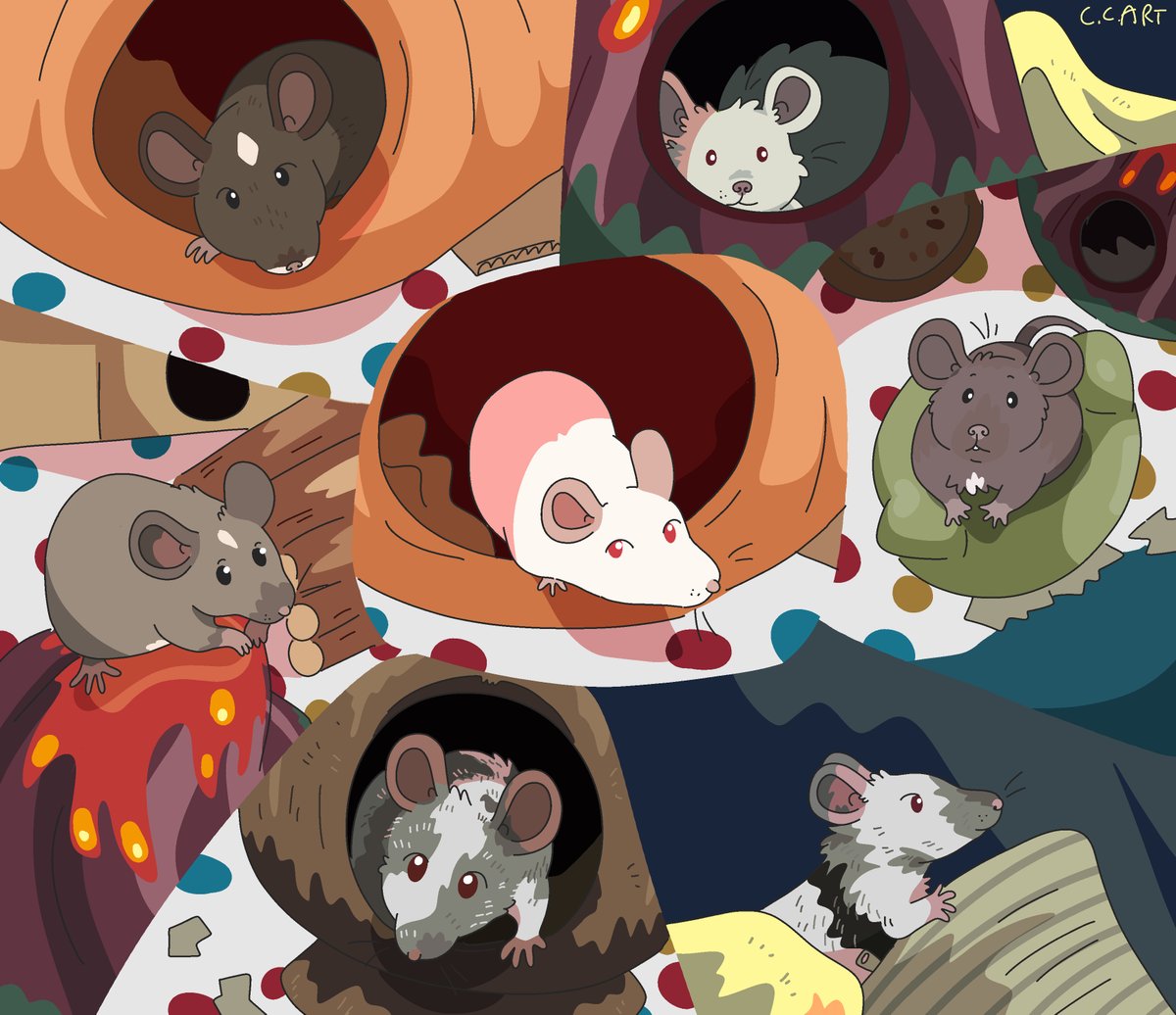 Clair 💫 tweet media