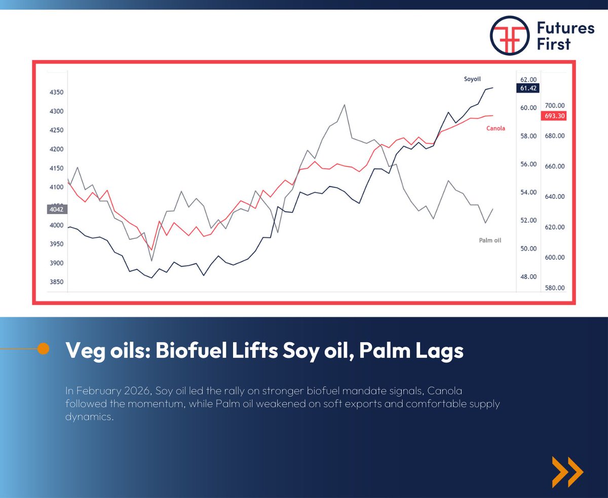 _Futures_First's tweet photo. Our latest Market Snapshot captures the tone and transitions that defined the month.
What stood out to you in February’s market landscape? https://t.co/TdGzH39ukh