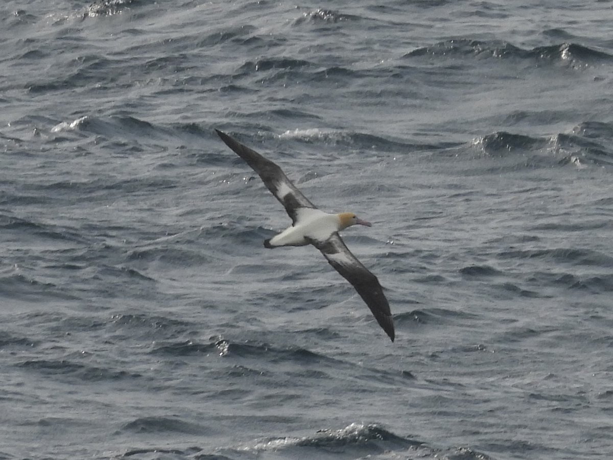 Shaun Robson tweet media