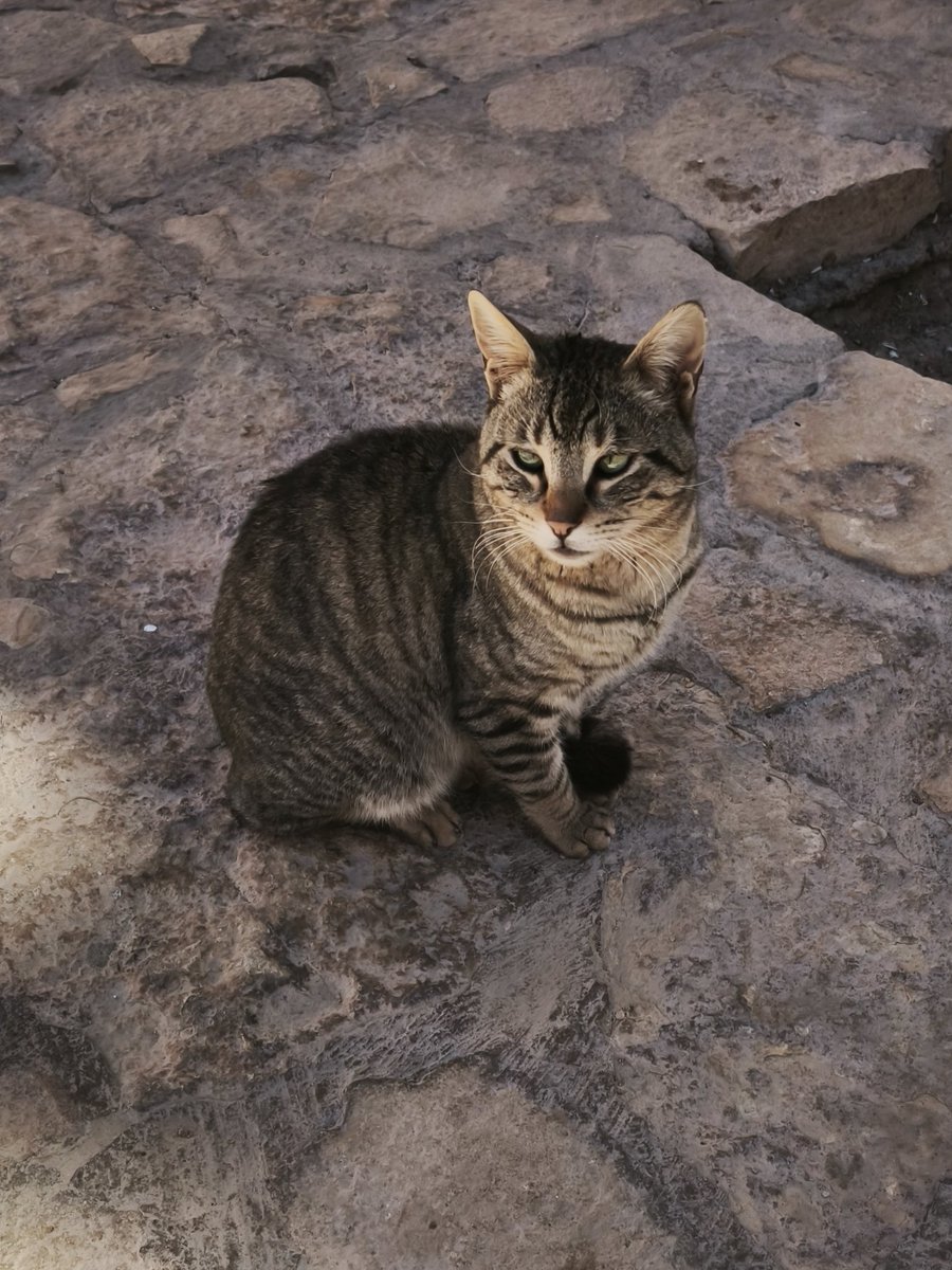 Nigel Thompson tweet media