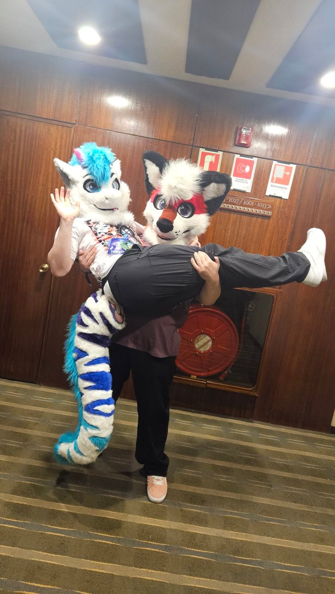 DUST ✨ tweet media