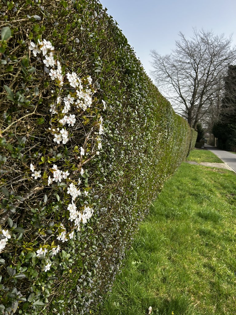 Melhael Wynn tweet media