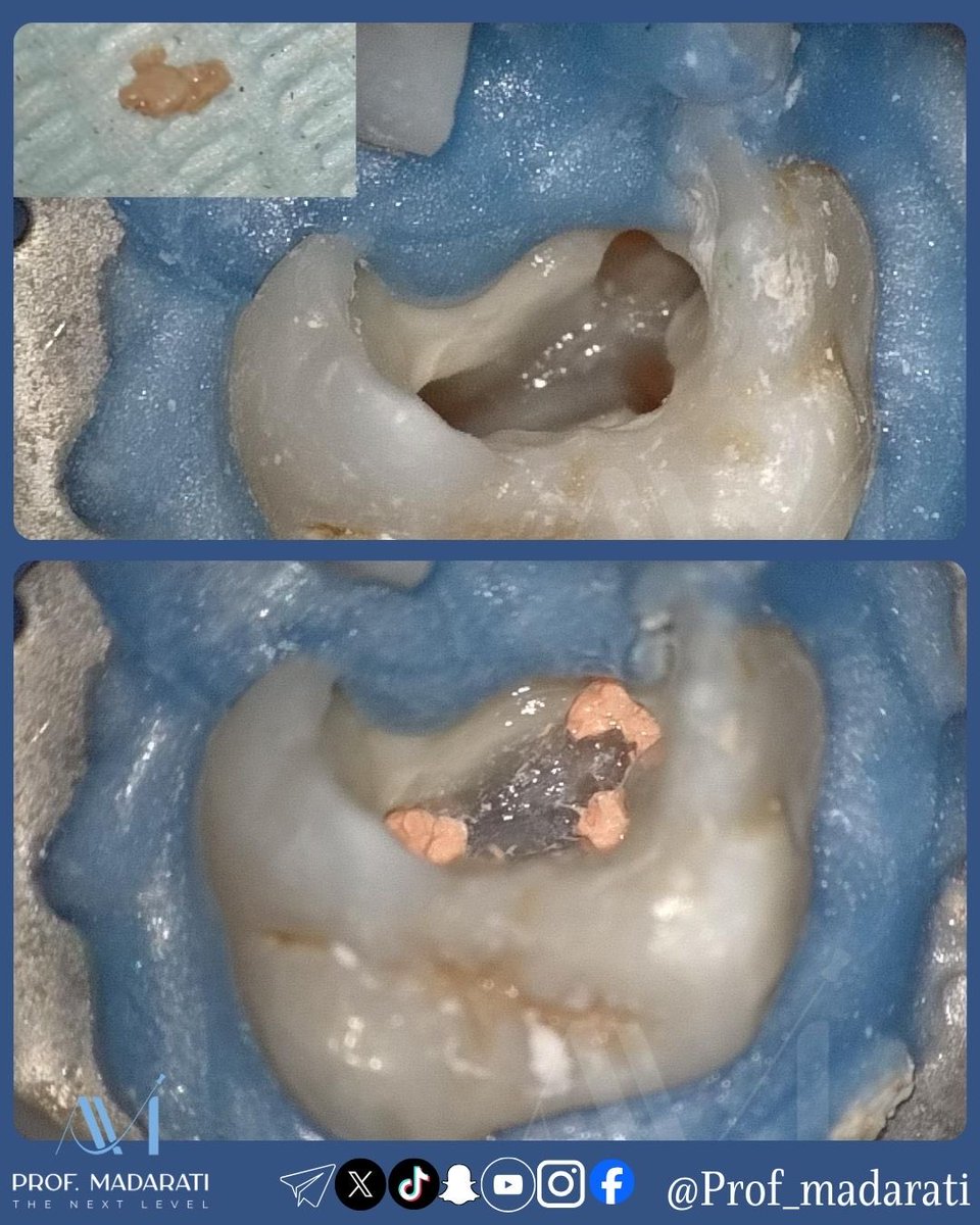 Prof Ahmad Madarati tweet media