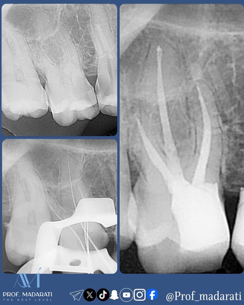 Prof Ahmad Madarati tweet media