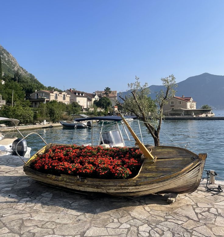 naturaholic's tweet photo. Montenegro https://t.co/5A9NQRhs7Z