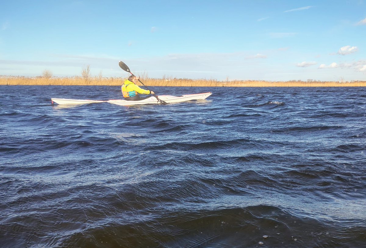 KV Waterwolf tweet media