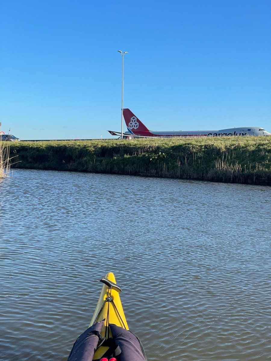 KV Waterwolf tweet media