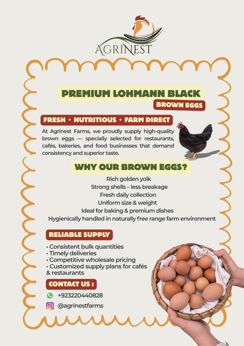 DaaStargoTora's tweet photo. Hello everyone!
We’re excited to share that our fresh brown shell organic eggs are now available.

Please like and share our Instagram profile with your friends and family to help spread the word. Your support is greatly appreciated!

QT&amp;RT for more visibility. https://t.co/6o2lnEDpgK