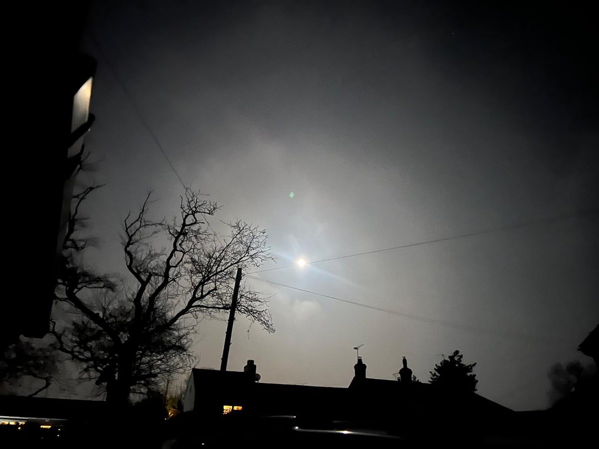 Yogagalla tweet media