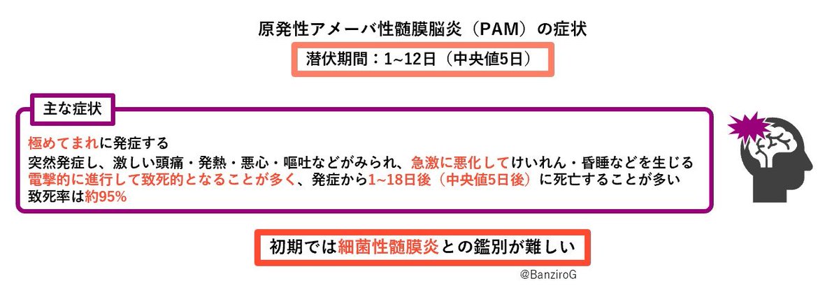 BanziroG's tweet photo. 『原発性アメーバ性髄膜脳炎（PAM）』
フォーラーネグレリアによる感染症。
脳が急激に壊死し、激しい頭痛・発熱・嘔吐などがみられ、電撃的に悪化して約95%が死亡する。
淡水を鼻から吸い込むことで、極めてまれに感染・発症するとされている。
#感染症紹介short
https://t.co/dF3WzRVInB https://t.co/PLkyll4faY