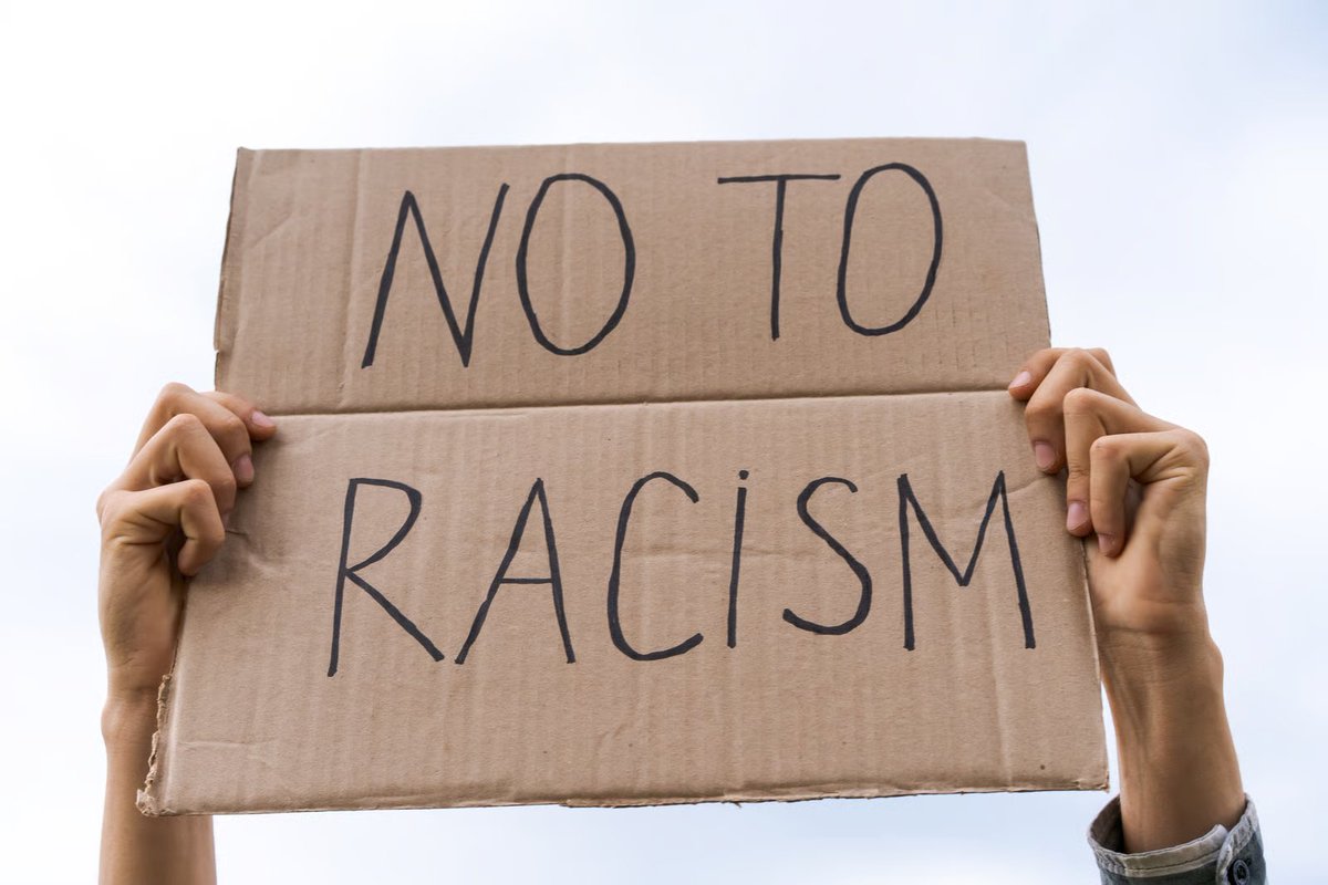 Assemblea International tweet media