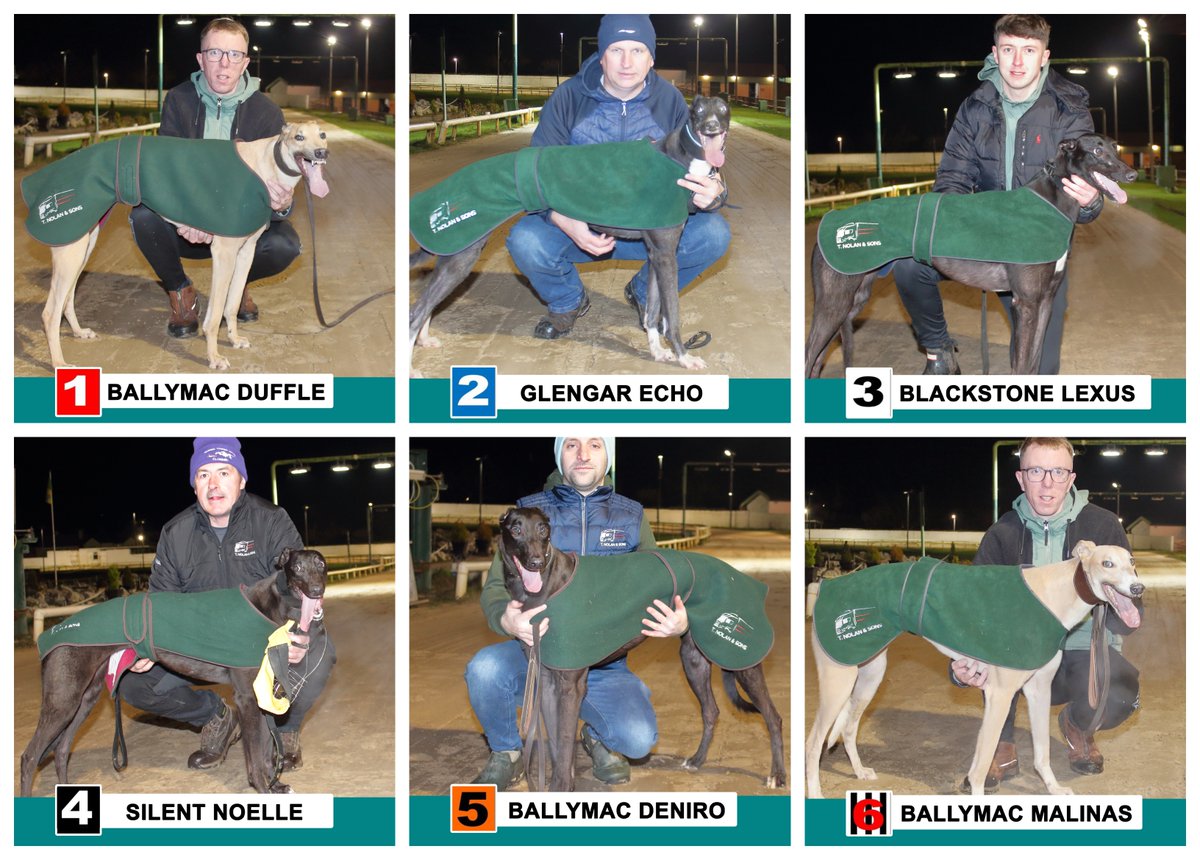 Kingdom Dog Track tweet media