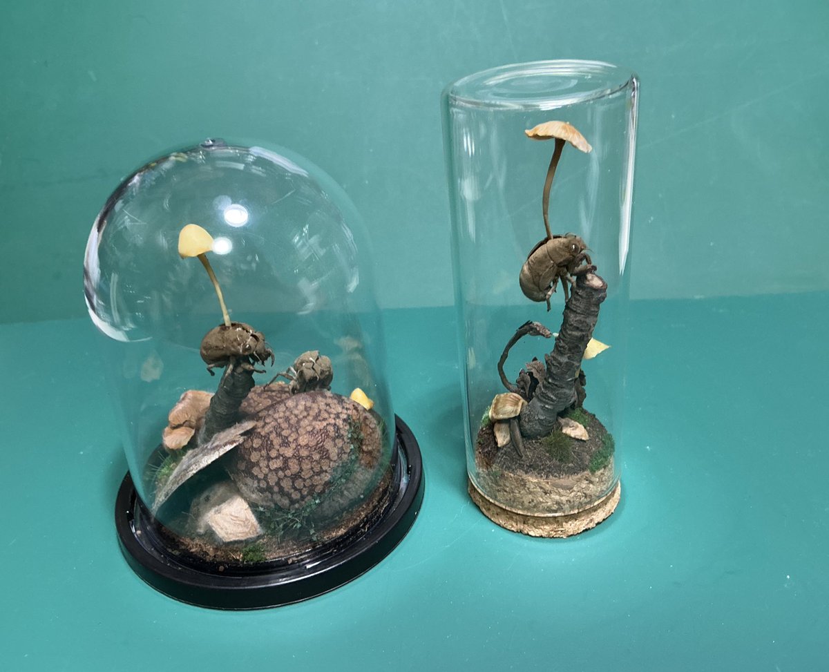 Fun Model tweet media