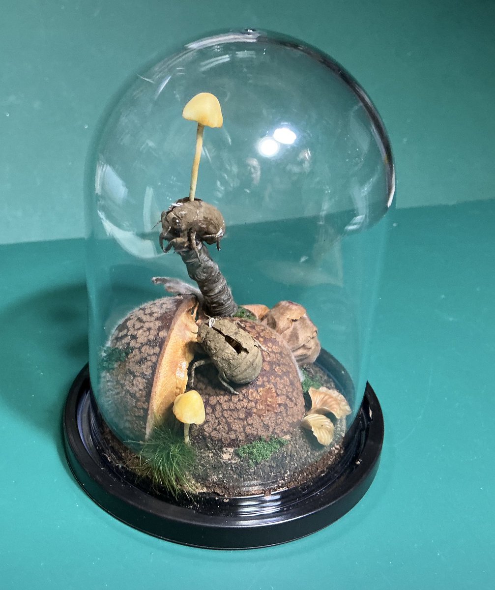 Fun Model tweet media