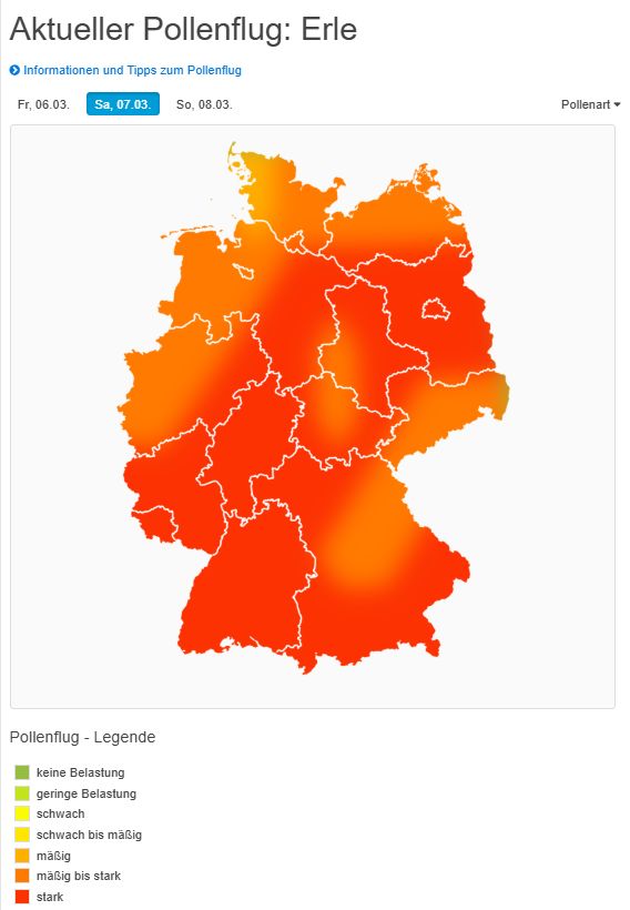 WetterKontor's tweet photo. Pollenflug am kommenden Wochenende: Mäßiger bis starker Flug von Erlenpollen, langsam abnehmende Konzentration von Haselpollen in der Luft: https://t.co/g7pCfN5UlR https://t.co/7fDSPgjZBw
#Wetter #Pollenflug #Deutschland #Wochenende #Hasel #Erle https://t.co/aXX7DDl2q8
