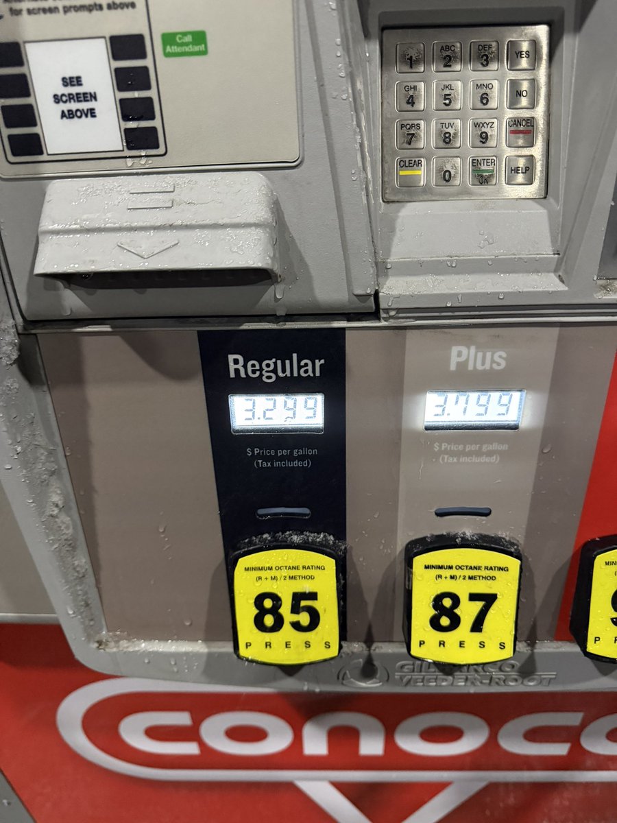 Bird Law Expert 🇺🇦 tweet media