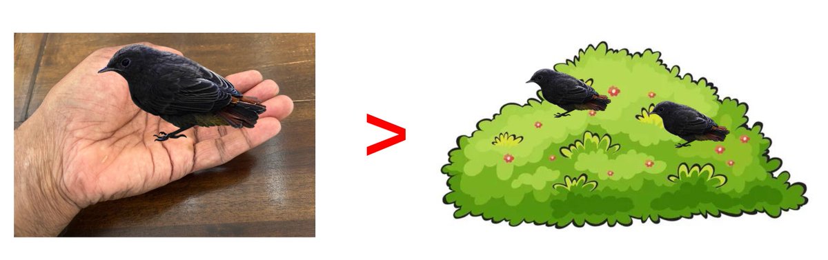 Prof Param Mariappan FRCS(Urol), PhD tweet media