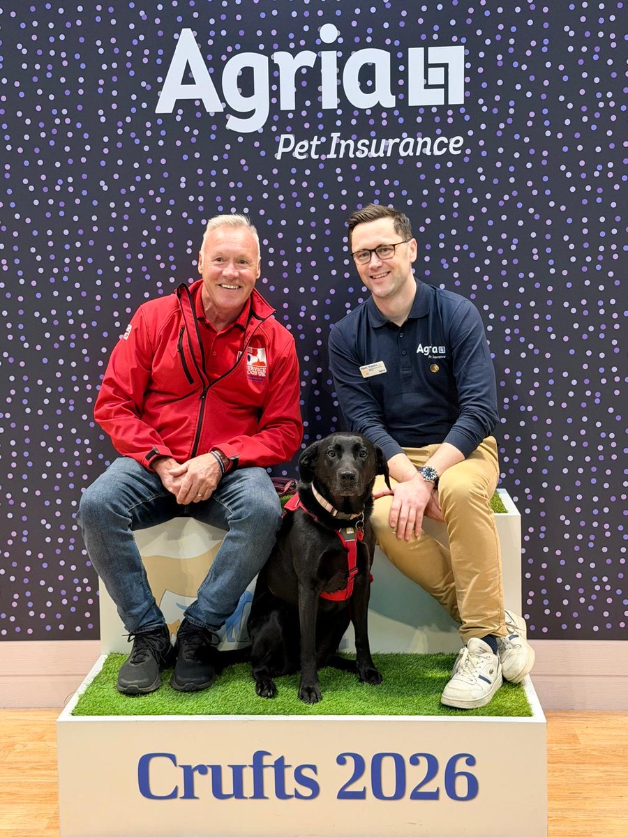 ServiceDogsUK tweet media