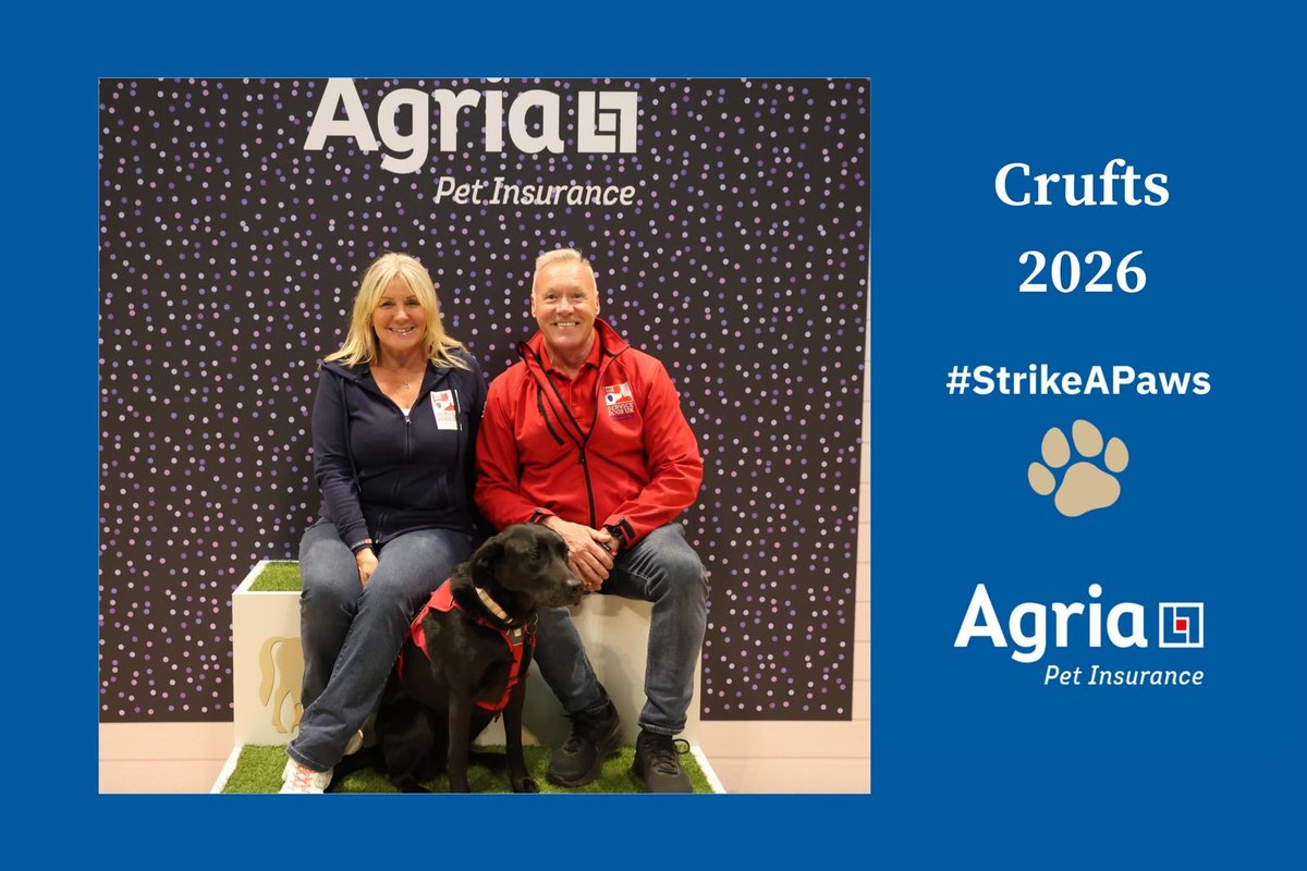 ServiceDogsUK tweet media