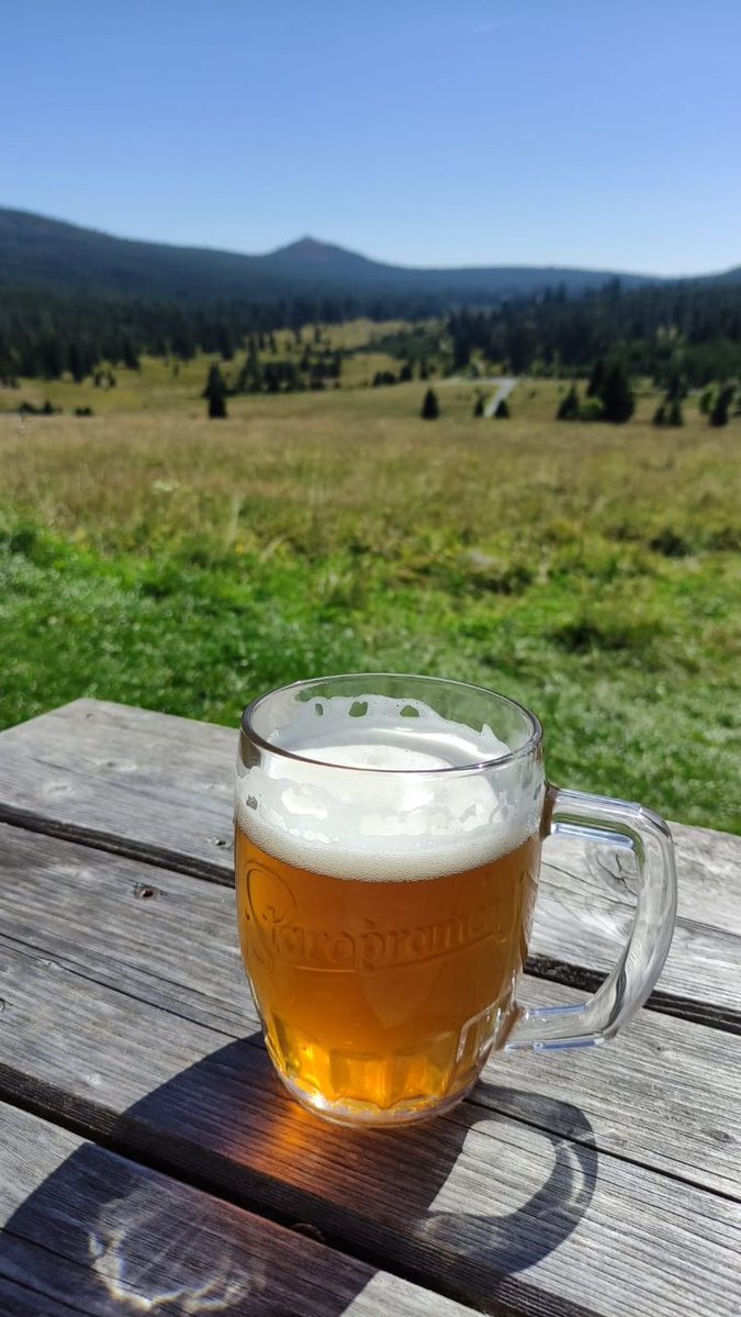 Britain's Lost & Living Pubs tweet media