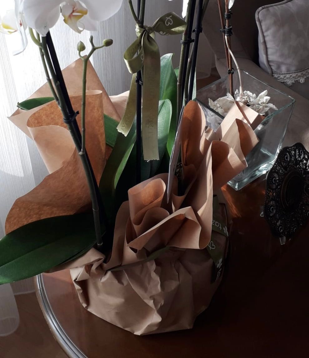 Yahu şu çiçeğe 5000 TL almaya utanmıyor olabilirsiniz, ok, bunu bir şekilde serbest piyasa dersiniz anlarım ama bu şekilde göndermeye biraz olsa utanır insan..!!

<a href="/Tazecicek/">Taze Cicek</a> 

Gazeteye sarsaydınız??!!

Ne bilim bim poşetine falan koysaydınız??!