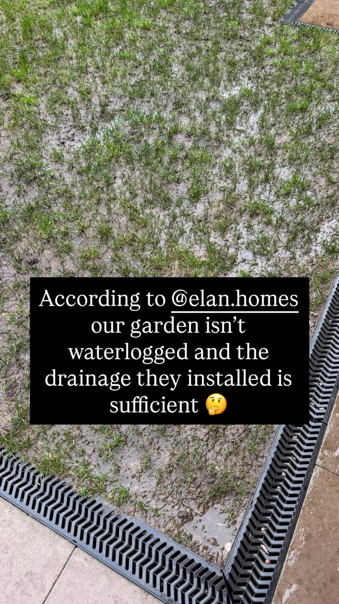 Dan Bardell tweet media