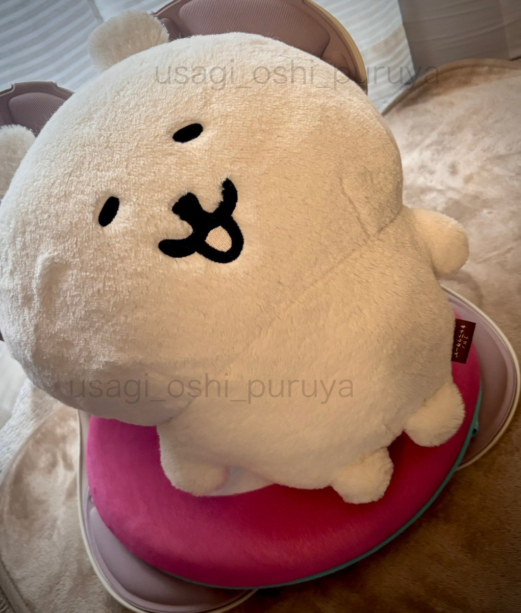 うさぎ推しプルャ！ (@usagi_uraura5) / Posts / X