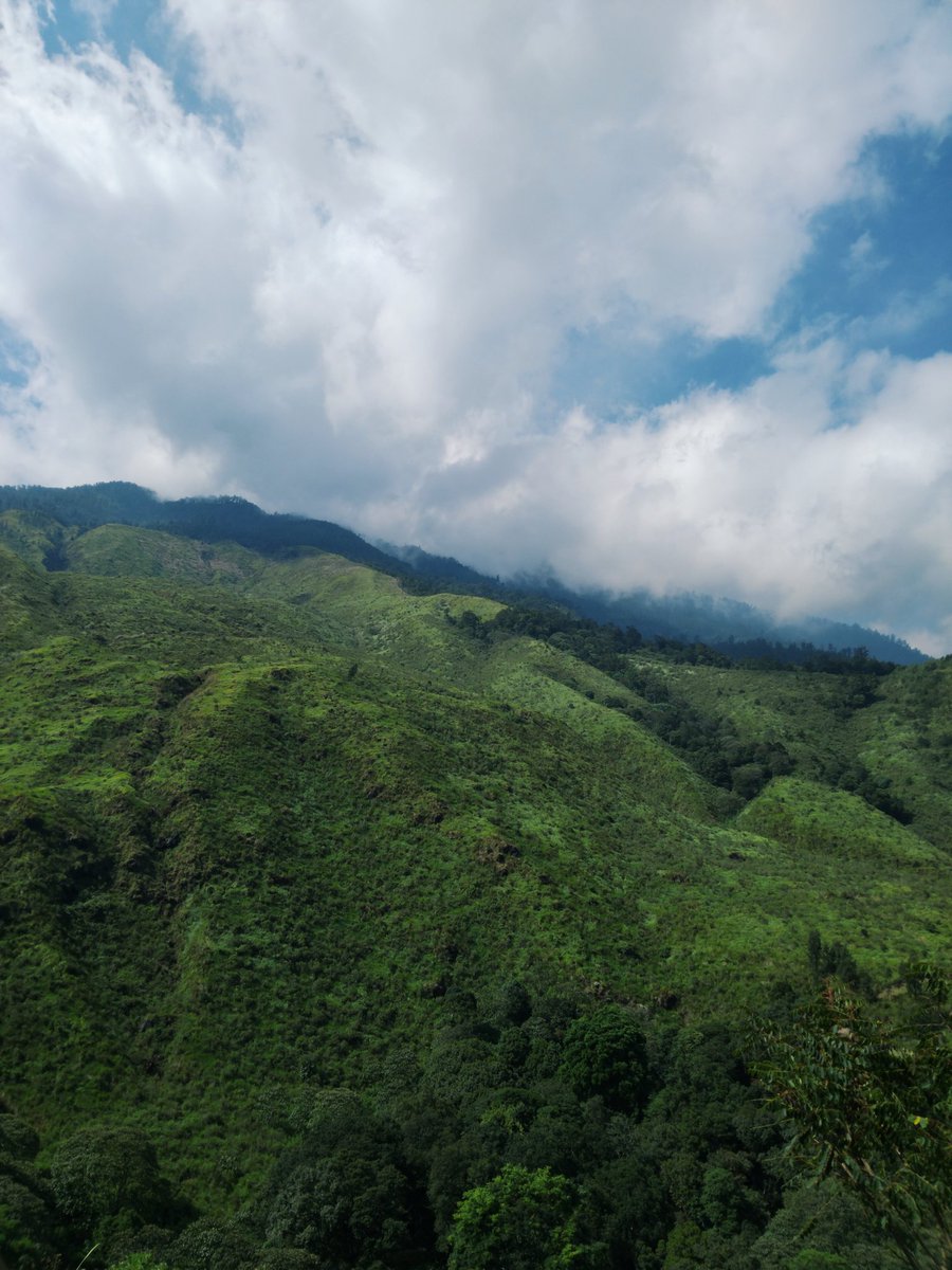awan☁️ tweet media