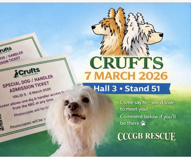 yoshi & bruce tweet media