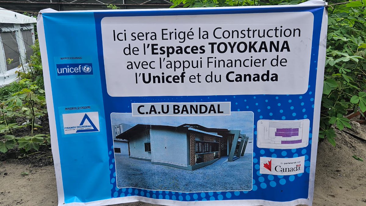 Canada in DRC tweet media