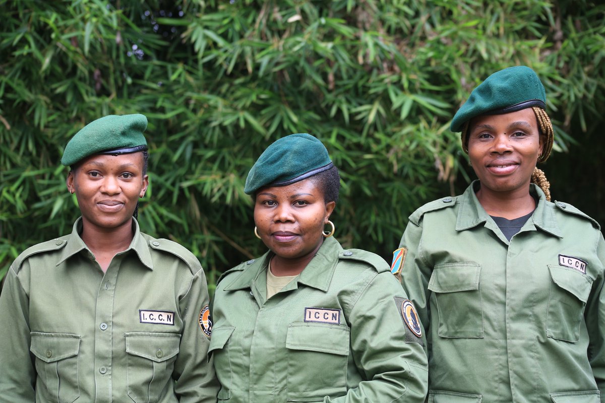 Virunga National Park tweet media