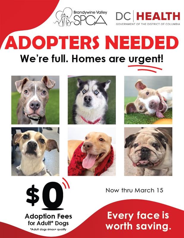 Brandywine Valley SPCA - Washington, DC tweet media