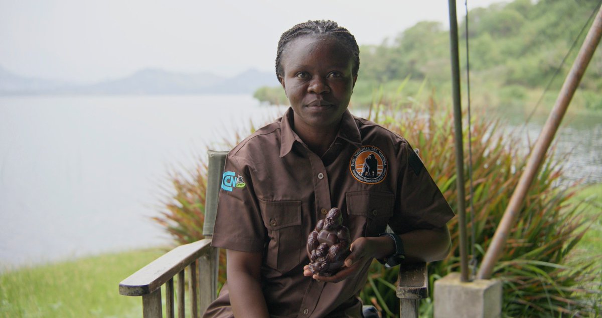 Virunga National Park tweet media