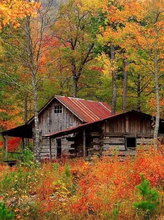 ScaryAllYear's tweet image. Nestled deep in the fall foliage, this rustic cabin is giving off major cozy autumn vibes. Who's ready for crisp air &amp;amp; spooky season tales by a warm fire? 🍂🏡

#FallVibes #Autumn #CabinLife #SpookySeason #ScaryAllYear