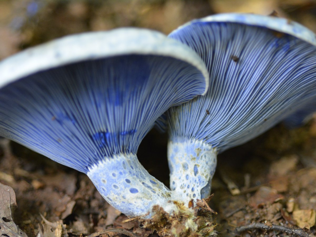 Science Channel tweet media