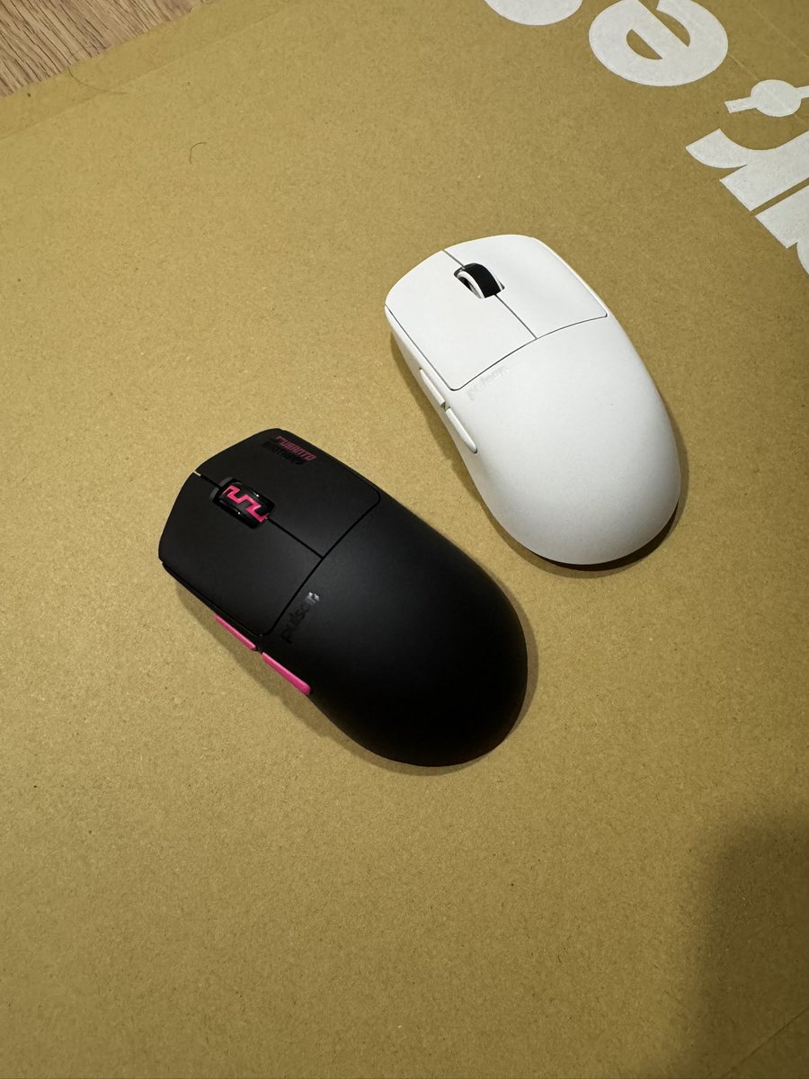 BIRDRING tweet media