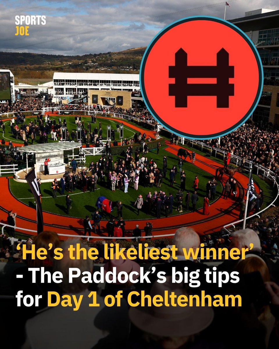 The Paddock tweet media