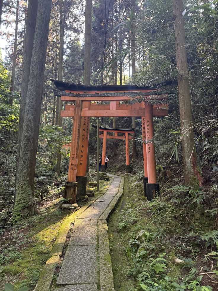 MozartCultures tweet media