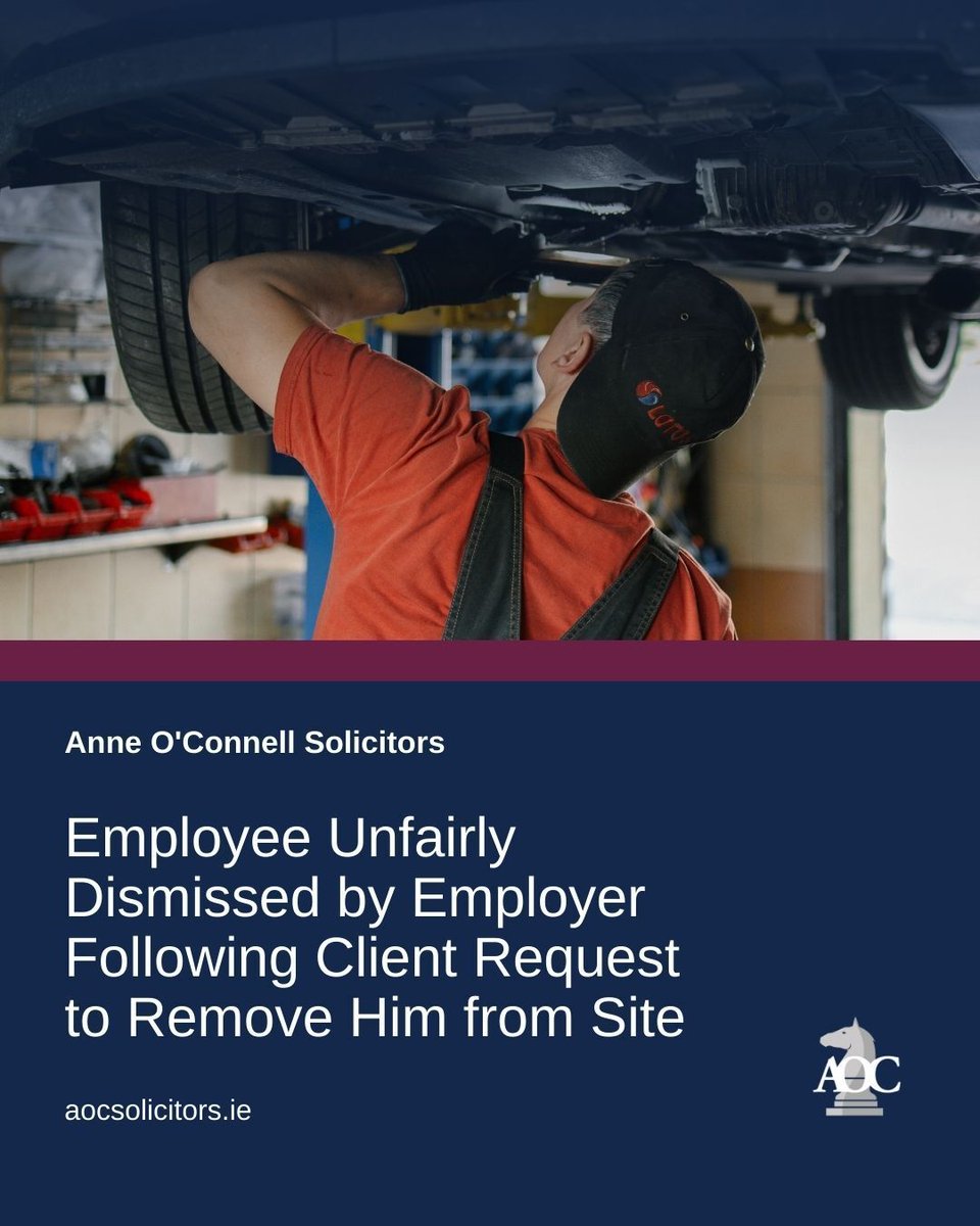 Anne O'Connell tweet media