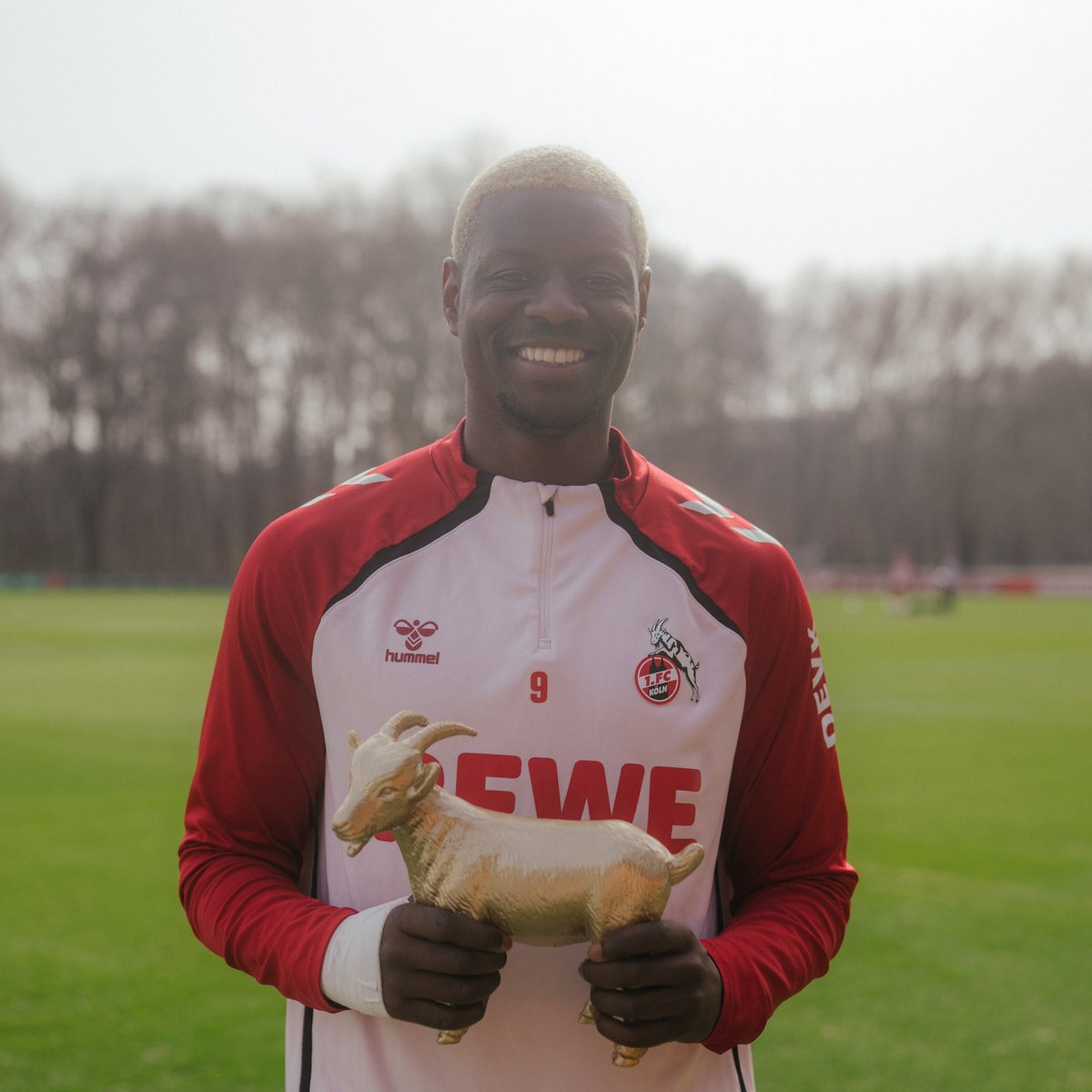 1. FC ケルン (@fckoeln_jp) / Posts / X