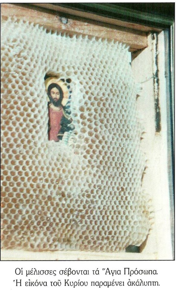 SeraphimPrints's tweet photo. My brother’s beehive this week! 
He built it last year and attracted the bees with lemongrass oil. He went up to Amish country and bought a bee suit and some tools. 

He’s just figured it out a step at a time and seems to be pretty successful so far! 🐝

I told him about St. Modomnoc and the Greek beekeeping tradition of bees building their comb around icons. 

For his upcoming birthday, I got him some Humming Meadow goods & made an icon print he can put on a frame…just to see what happens. 🤓

(Thanks for the extra sticker, Hollow Trees. His wife will *love* it!)

@LadyHollowTree 
@OldHollowTree